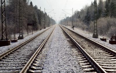 Сообщение о бомбе в поезде в Рязанской области оказалось ложным