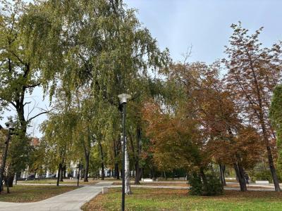 Историю родного края в 8-9 классах рязанских школ будут изучать с 2026 года