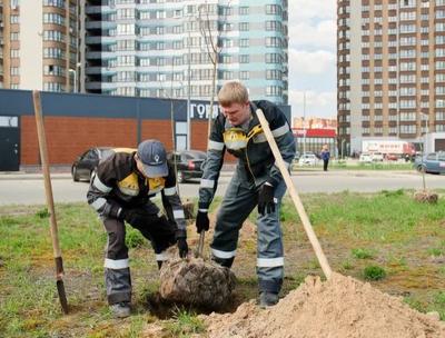 Рязанская НПК высадила деревья на трёх площадках города