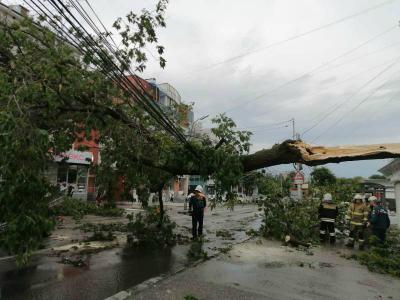 В Рязани продолжают устранять последствия урагана