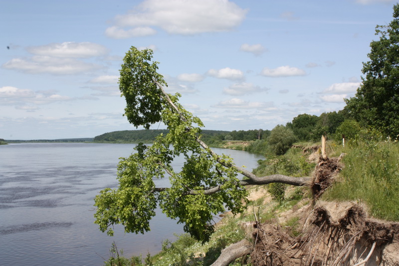 Щербатовка рязанская область фото