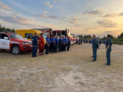 Возбуждено уголовное дело по факту лесных пожаров в Рязанской области