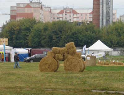 В Рязани прошёл агрофестиваль «Спожинки – праздник урожая»
