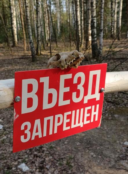 Рязанцам до конца августа ограничили въезд в леса