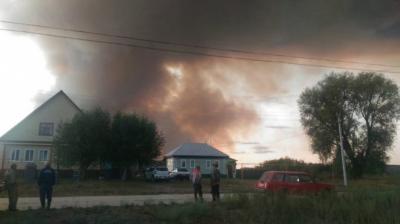 Дым от горящего заповедника в Мордовии дошёл до Рязанской области