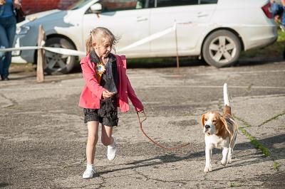 В Рязани прошла выставка собак всех пород