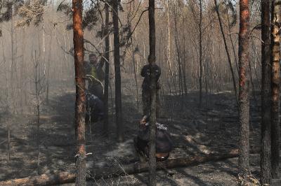 Распространение пожаров в Рязанской области остановлено