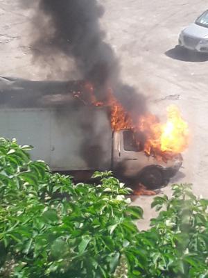 Фото пользователя соцсети «ВКонтакте» Ангелины Конкиной