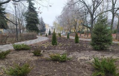 Благоустройство Наташкиного парка планируют завершить к 1 июня