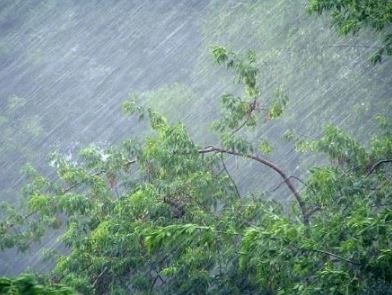 В Рязанской области объявлено метеопредупреждение