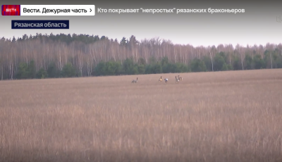 Глава СК России Александр Бастрыкин заинтересовался рязанскими браконьерами
