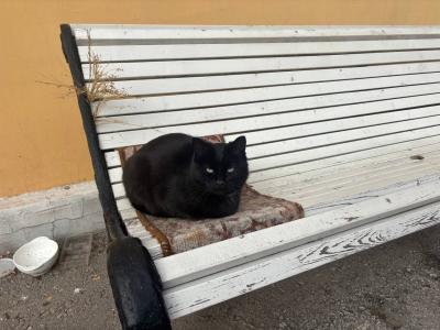 Бронь отелей в Рязани на новогодние праздники выросла на 30%