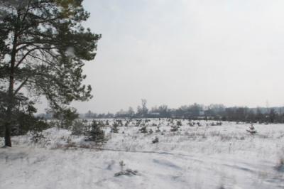 Россельхознадзор по Рязанской и Тамбовской областям наказал собственников за заброшенные земли