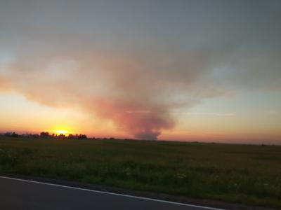 Площадь пожара на полигоне в Сельцах достигла 250 гектаров