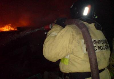 На пожаре в Пронском районе погиб мужчина