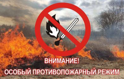 Рязанцам напомнили штрафы за нарушения особого противопожарного режима