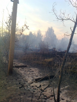 Крупный пожар в Сасовском районе ликвидирован
