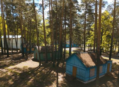 Лагерь «Дружба» в Рязанской области продаётся за 28 миллионов рублей