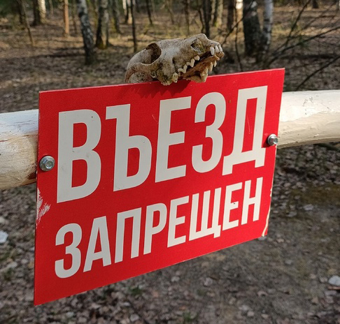 Для рязанцев ввели ограничения на посещение лесов