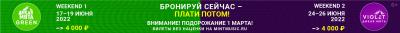 На фестивале «Дикая Мята» за два уикенда пройдёт более 180 концертов