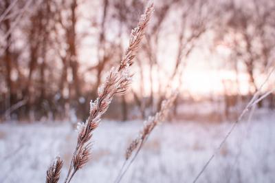 В Рязанской области похолодает до минус 6 градусов