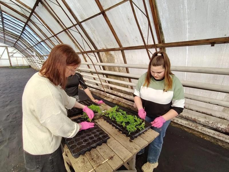 Рязанские студенты изучают способы озеленения городских пространств