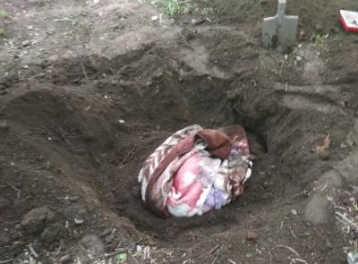 В одном из дворов Рязани захоронили труп собаки