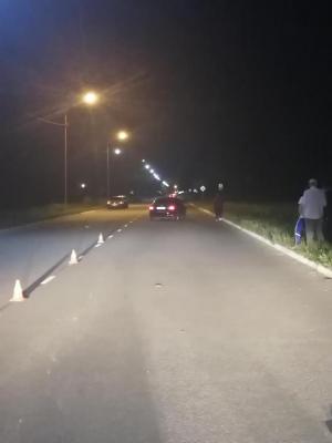 В Пронском районе под колёса иномарки попали два человека