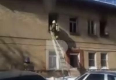 В результате пожара на улице Гоголя в Рязани обгорела собака