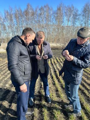 В 21 районе Рязанской области аграрии начали подкормку посевов озимых