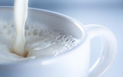 Шиловский молокозавод оштрафовали за фальсификацию продукции