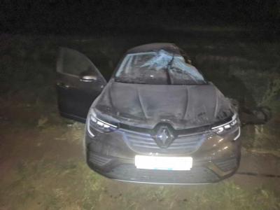 В ДТП под Михайловом погиб водитель Renault Arkana