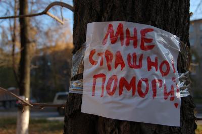Защитники сквера на улице Черновицкой в Рязани объявили войну застройщикам
