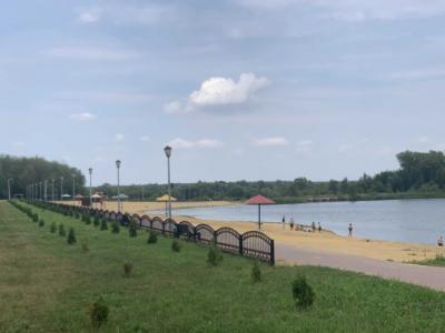 Павел Малков заявил, что в Рязани нужен благоустроенный пляж