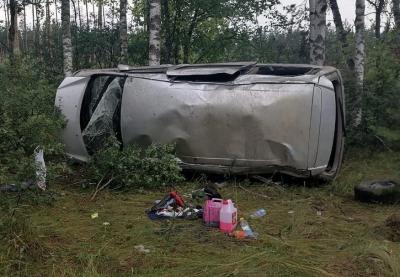 В Путятинском округе при опрокидывании минивэна пострадали шесть человек