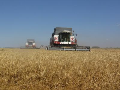 Все агропредприятия Рязанщины приступили к уборке зерновых