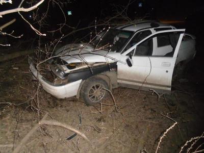 Пьяный житель Ряжска въехал в дерево, вызвал скорую пассажирке и скрылся с места ДТП