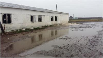 Ферму в Александро-Невском районе оштрафовали за антисанитарию