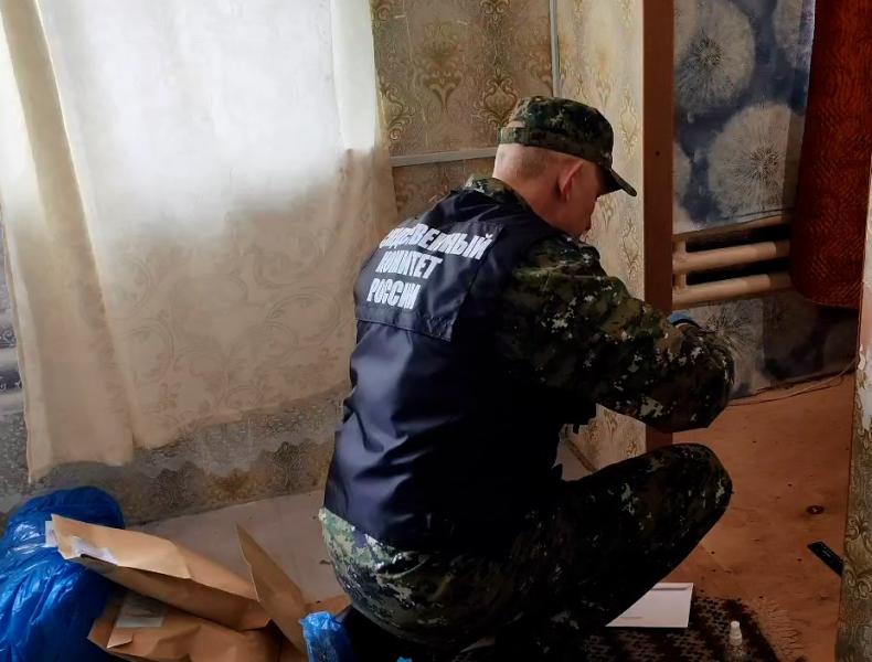 Двойное убийство в Кадоме Рязанской области совершил знакомый по интернету