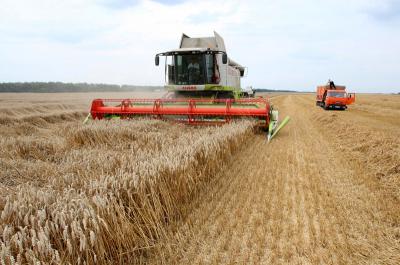 Почти 30 хозяйств Рязанщины полностью завершили уборку зерновых