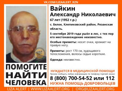 В Клепиковском районе ищут пропавшего пенсионера