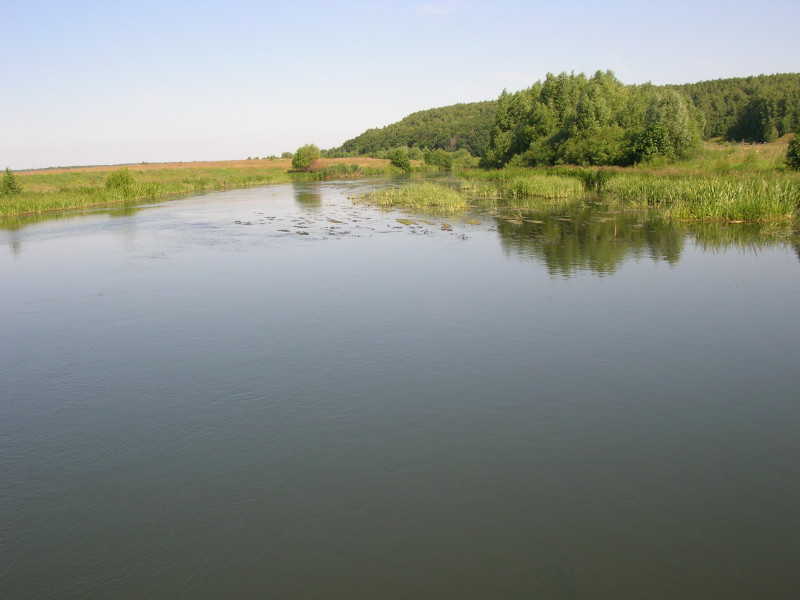 Река савала тамбовской области
