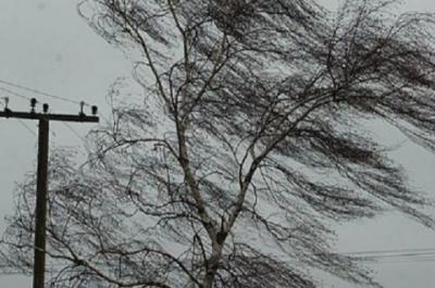 Рязанцев предупредили о сильном ветре 2 января