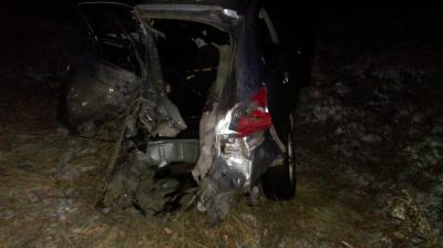 Близ Шацка Mitsubishi влетел в «Газель», пострадал водитель иномарки