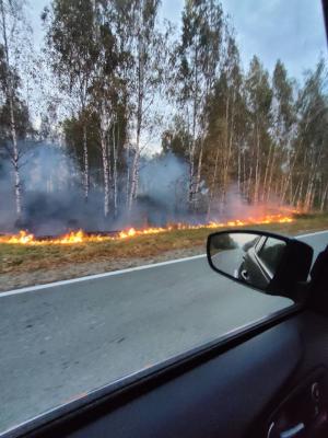 В Рязанской области сохранится чрезвычайная пожарная опасность