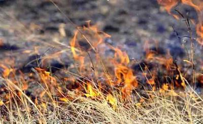 В Шацком районе введён режим повышенной готовности