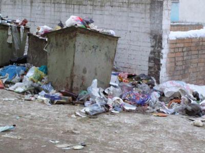 В Рязанской области увеличат штрафы за невывоз мусора