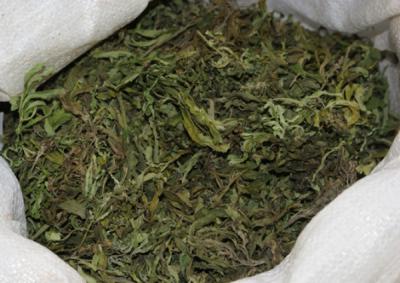 В Захаровском районе изъято два с половиной килограмма марихуаны