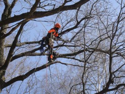 В Рязани несколько улиц останутся без электроэнергии