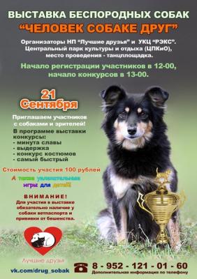 В Рязани состоится выставка беспородных собак 